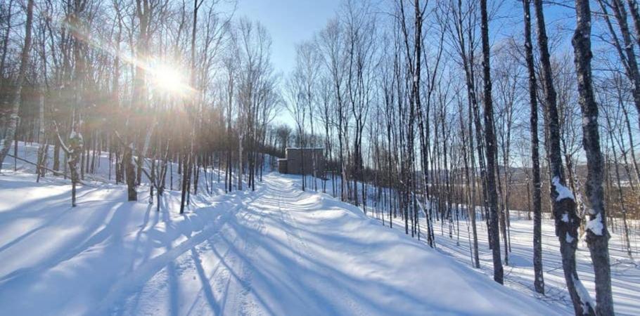 הוילה La Conception Chalet Serenity - Mont Tremblant Ski - Spa Sauna Wifi Tv Privet Chic Modern House מראה חיצוני תמונה